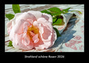 Strahlend schöne Rosen Fotokalender 2026 - Hauptbild