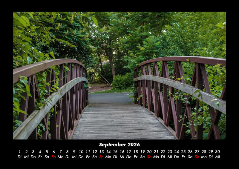 Waldzauber Fotokalender 2026 - 9