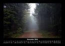 Waldzauber Fotokalender 2026 - 12