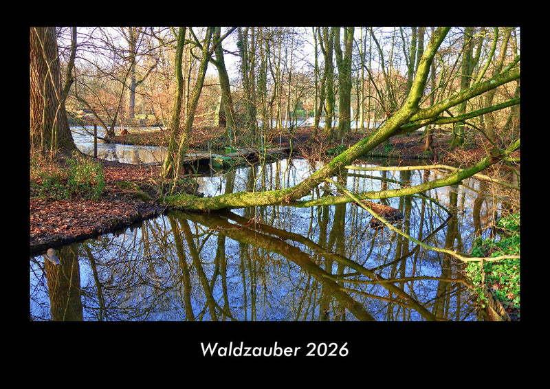 Waldzauber Fotokalender 2026 - Hauptbild