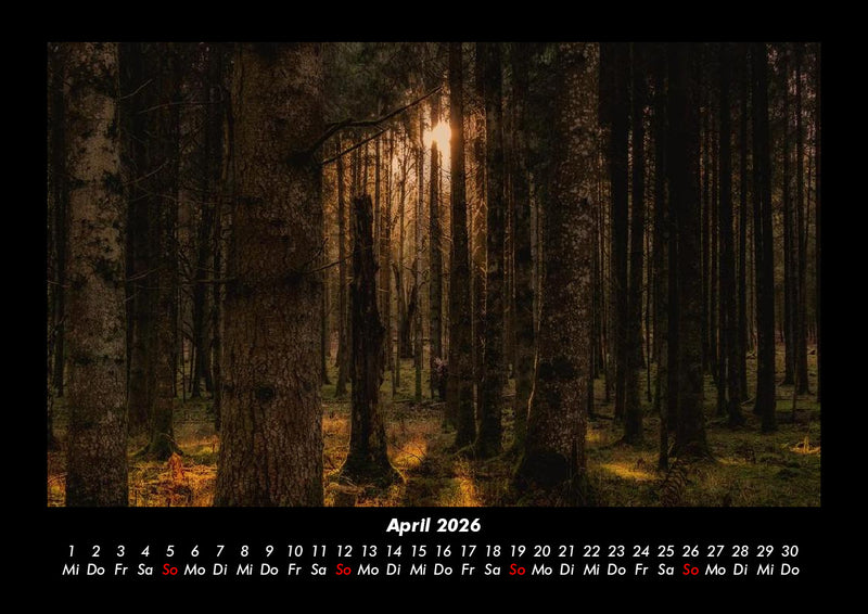 Waldzauber Fotokalender 2026 - 4