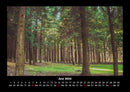 Waldzauber Fotokalender 2026 - 6