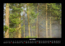 Waldzauber Fotokalender 2026 - 7