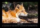 Waldbewohner Fotokalender 2026 - 8