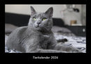 Tierkalender Fotokalender 2026 - Hauptbild