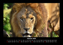 Tierkalender Fotokalender 2026 - 2