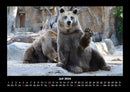 Tierkalender Fotokalender 2026 - 7