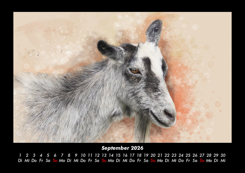 Kunstkalender Fotokalender 2026 - 9