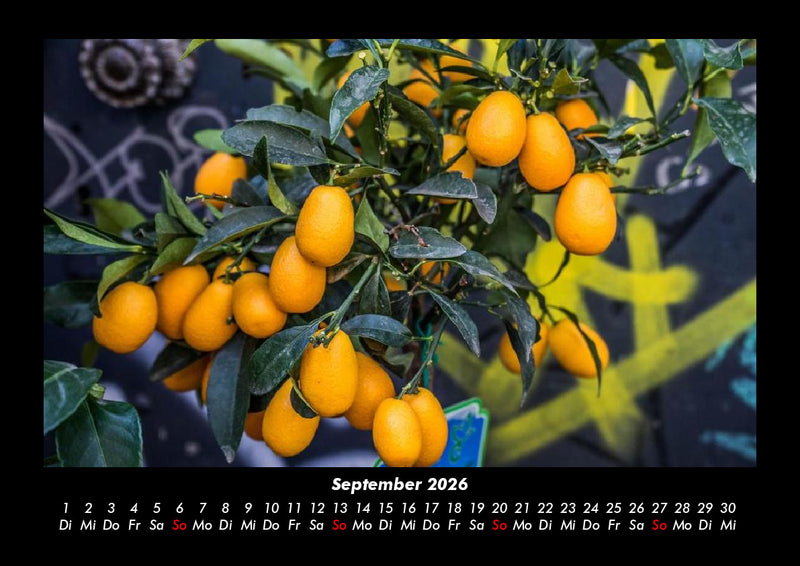 Barcelona Fotokalender 2026 - 9
