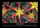 Blumenträume Fotokalender 2026 - 9