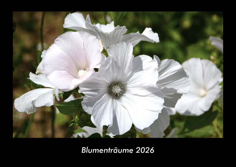 Blumenträume Fotokalender 2026 - Hauptbild