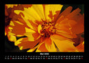 Blumenträume Fotokalender 2026 - 5