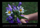 Blumenträume Fotokalender 2026 - 6