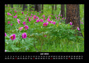 Blumenträume Fotokalender 2026 - 7