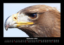 Vogelparadies Fotokalender 2026 - 9