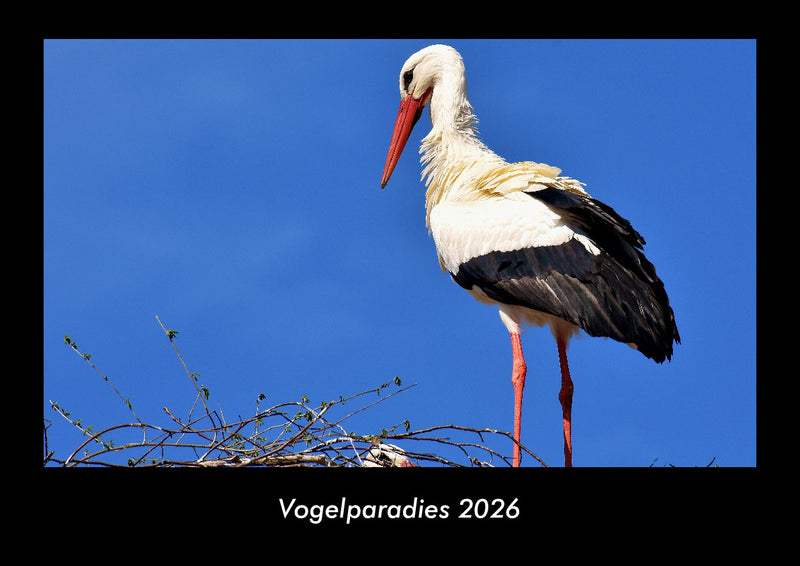 Vogelparadies Fotokalender 2026 - Hauptbild