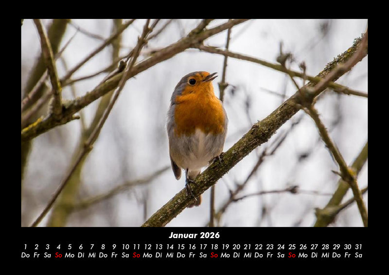 Vogelparadies Fotokalender 2026 - 1