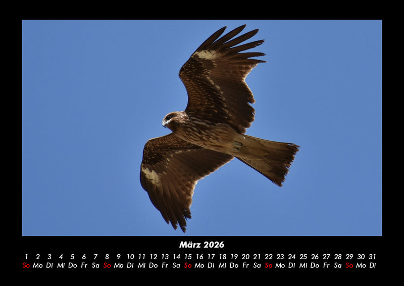 Vogelparadies Fotokalender 2026 - 3