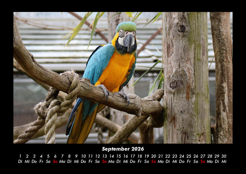 Welt der Tiere Fotokalender 2026 - 9