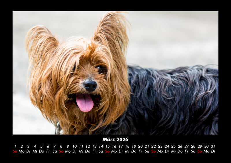Welt der Tiere Fotokalender 2026 - 3