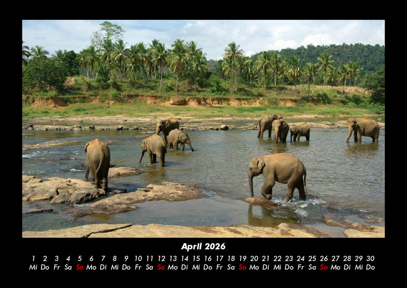 Welt der Tiere Fotokalender 2026 - 4