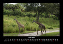Welt der Tiere Fotokalender 2026 - 6