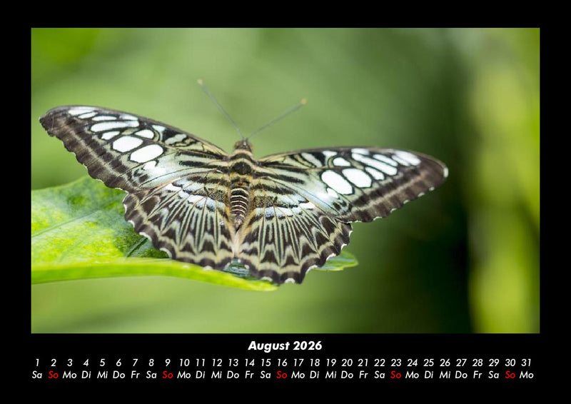Welt der Tiere Fotokalender 2026 - 8