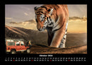 Tiger Fotokalender 2026 - 10