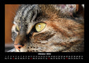 Tiere auf dem Bauernhof Fotokalender 2026 - 10