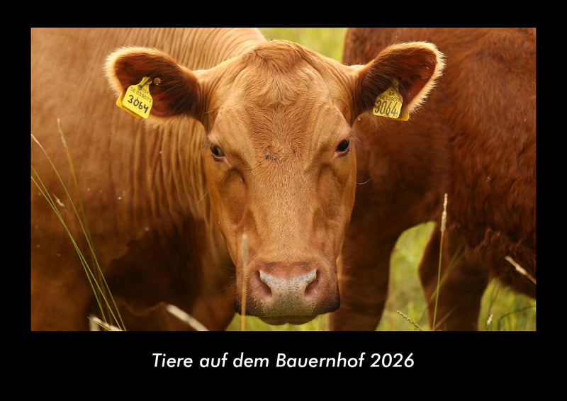 Tiere auf dem Bauernhof Fotokalender 2026 - Hauptbild