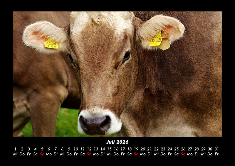 Tiere auf dem Bauernhof Fotokalender 2026 - 7