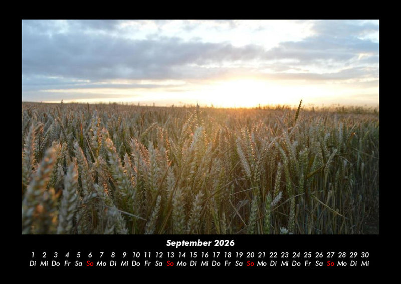 Blick in die Natur Fotokalender 2026 - 9