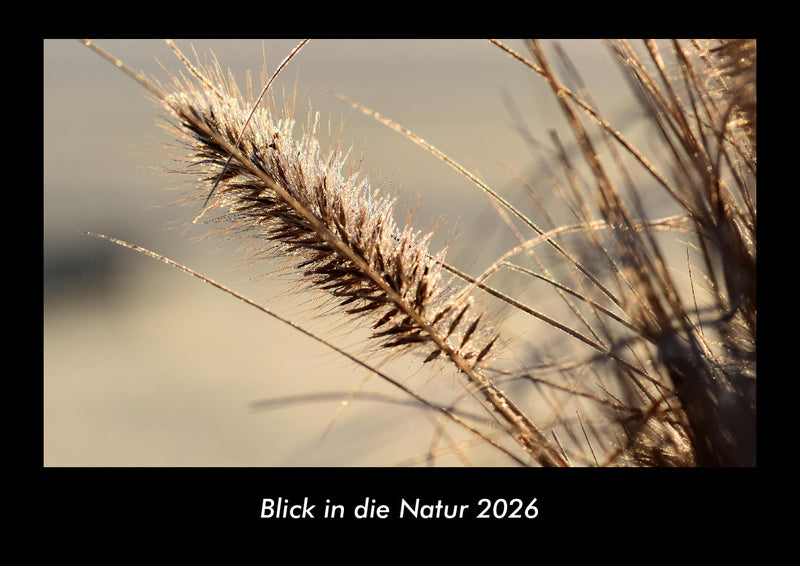 Blick in die Natur Fotokalender 2026 - Hauptbild