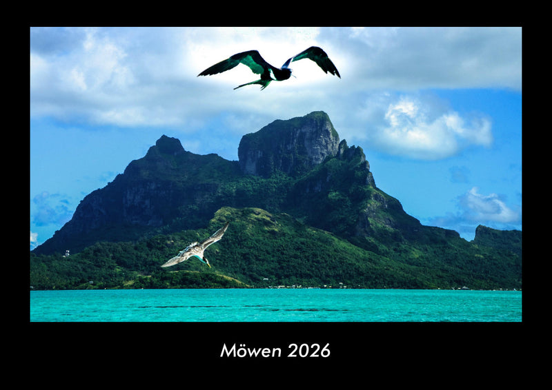 Möwen Fotokalender 2026 - Hauptbild
