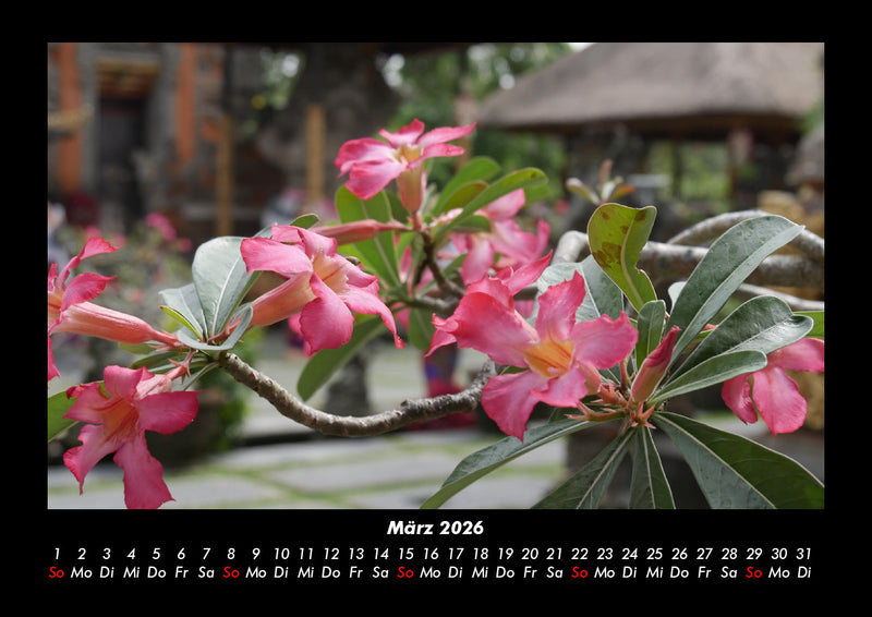 Pflanzen und Blüten Fotokalender 2026 - 3