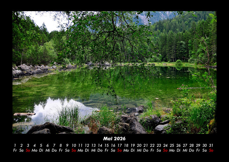Pflanzen und Blüten Fotokalender 2026 - 5