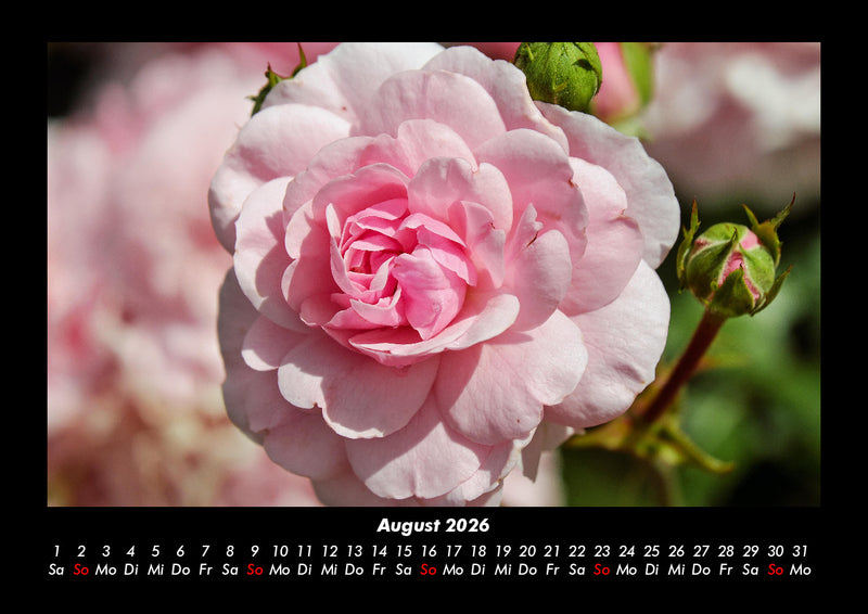Pflanzen und Blüten Fotokalender 2026 - 8
