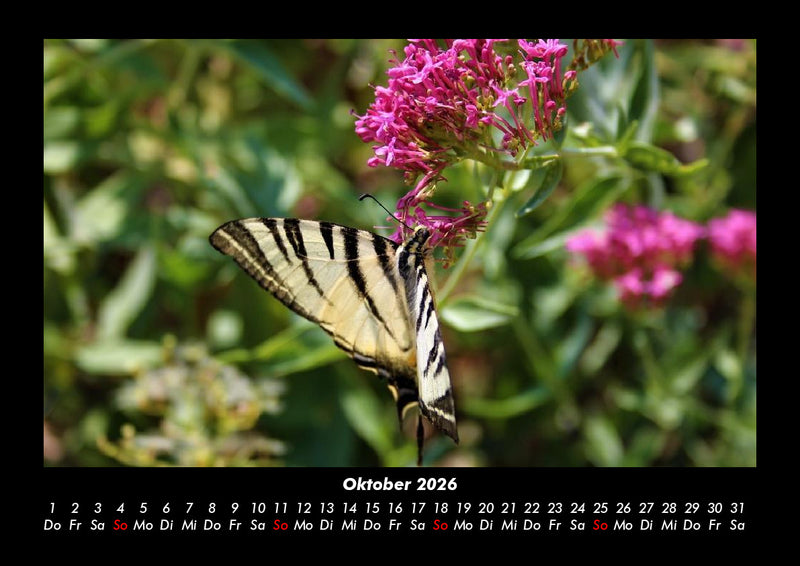Bilder aus der Natur Fotokalender 2026 - 10