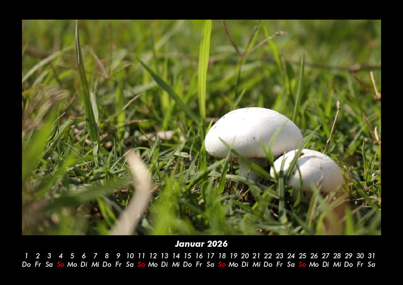 Bilder aus der Natur Fotokalender 2026 - 1