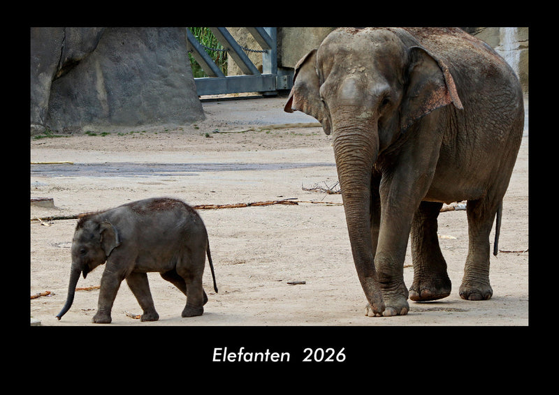 Elefanten  Fotokalender 2026 - Hauptbild
