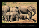 Elefanten  Fotokalender 2026 - 8