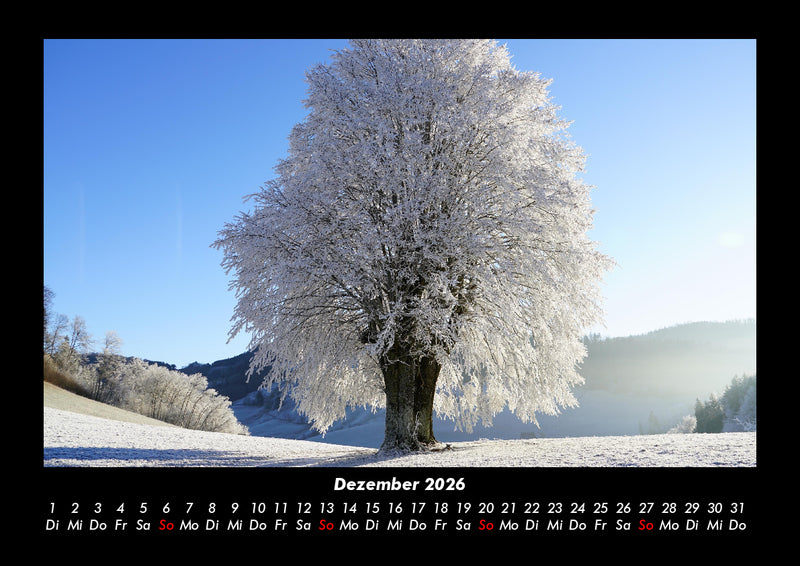 Landschaftskalender Fotokalender 2026 - 12