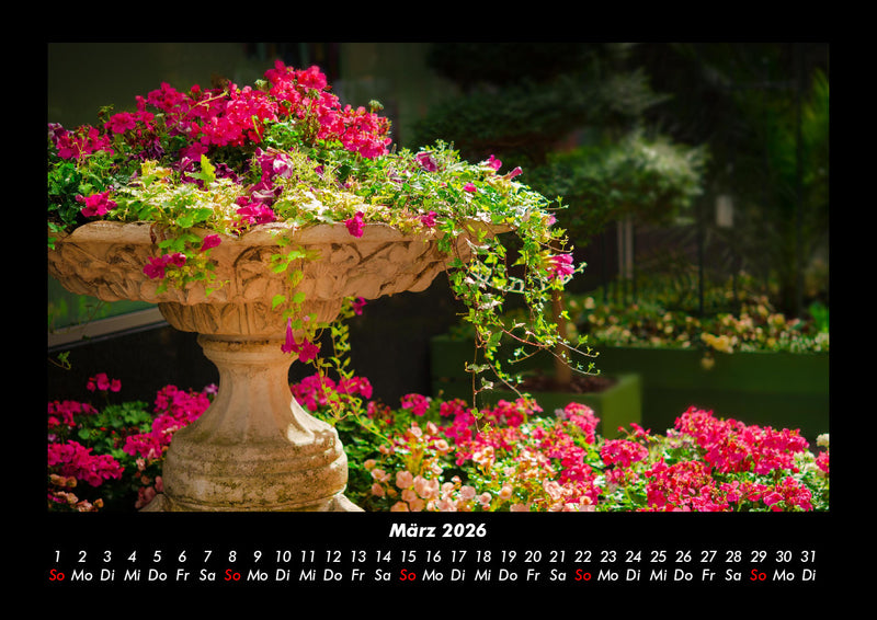 Blumenträume Fotokalender 2026 - 3