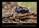 Waldbewohner Fotokalender 2026 - 10