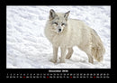 Waldbewohner Fotokalender 2026 - 12