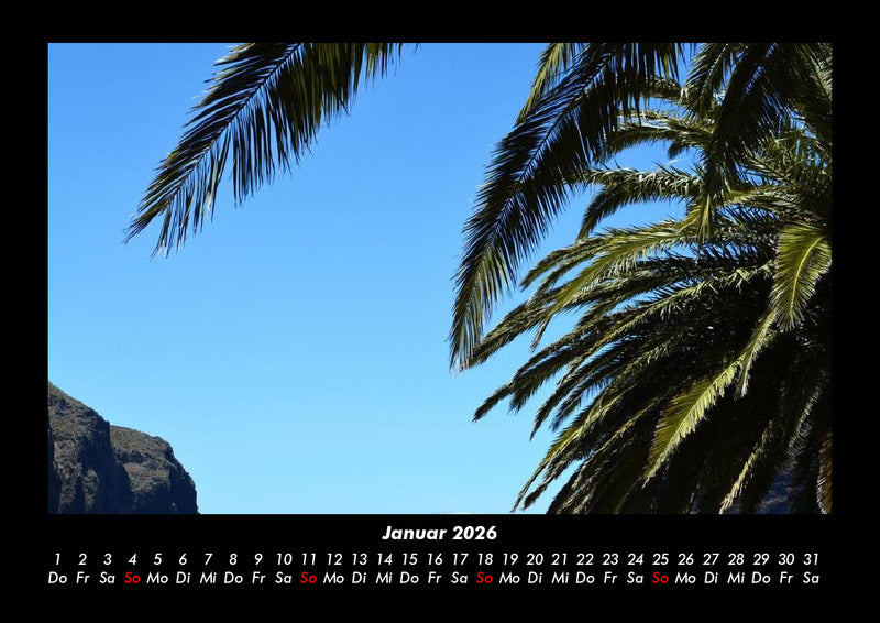 Palmentraum Fotokalender 2026 - 1