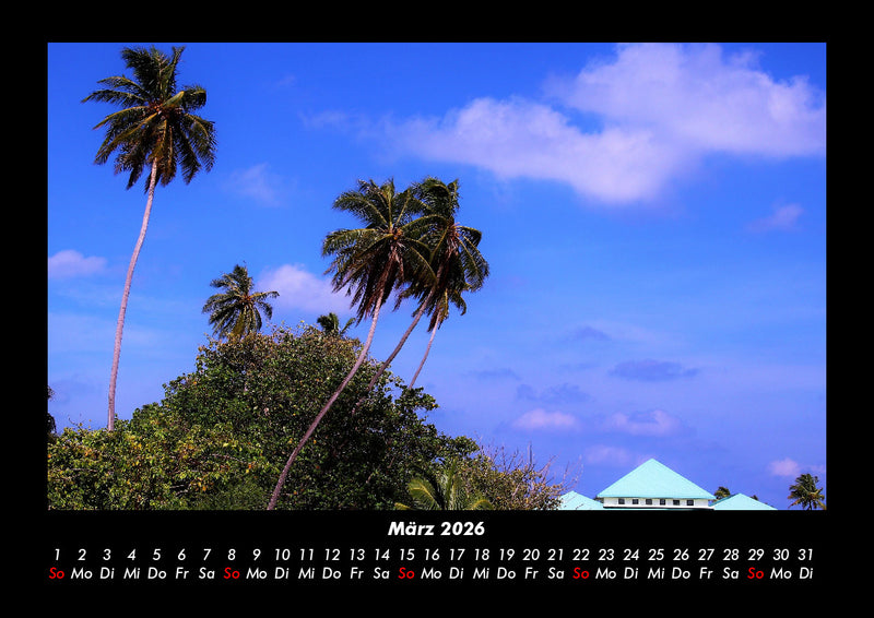 Palmentraum Fotokalender 2026 - 3