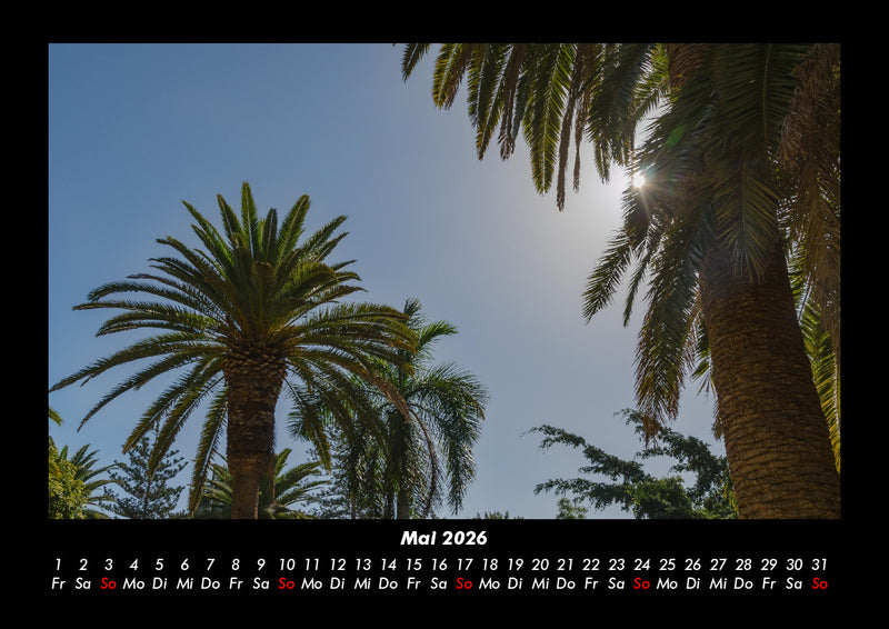 Palmentraum Fotokalender 2026 - 5