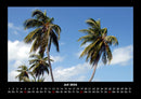 Palmentraum Fotokalender 2026 - 7