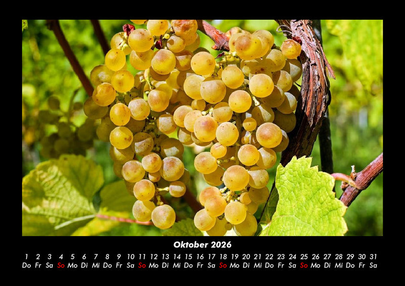 Obstkalender Fotokalender 2026 - 10